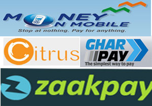 Digital Payments: Pursuit of the Holy Grail