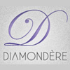 Jewellery e-tailor Diamondere wants to crack the US market, seeks to raise funds
