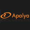 Mobile video streaming firm Apalya raises funds from Cisco, existing investors