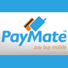PayMate India claims to surpass $500M in annual processing run rate