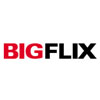 Movie-on-demand service BigFlix enables downloads for offline viewing; how is it different from Eros Now's similar offering?