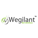 Excl: IT security startup Wegilant raises $160K angel funding