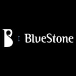 Online jewellery retailer BlueStone bags $16M from IvyCap Ventures, Dragoneer & others