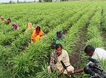 ICRISAT incubator to float around $15M fund for agri startups
