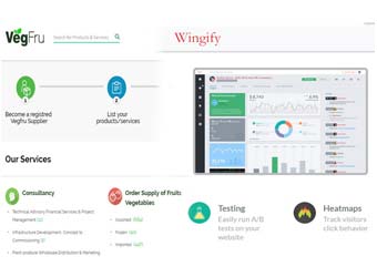 SaaS analytics firm Wingify backs B2B marketplace VegFru
