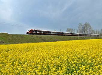 RailYatri raises fresh round of funding from existing investors