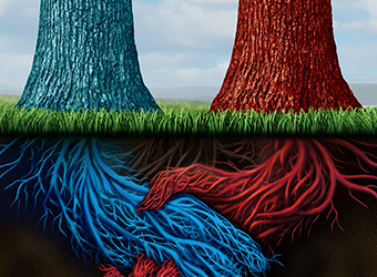 Pickrr raises undisclosed amount in pre-Series A funding from Swastika