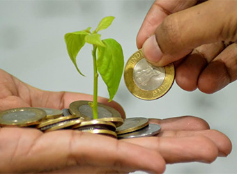 Exclusive: Agri-tech startup Paalak.in raises seed funding