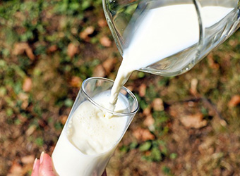 Supr Daily raises $120K from US-based accelerator Y Combinator