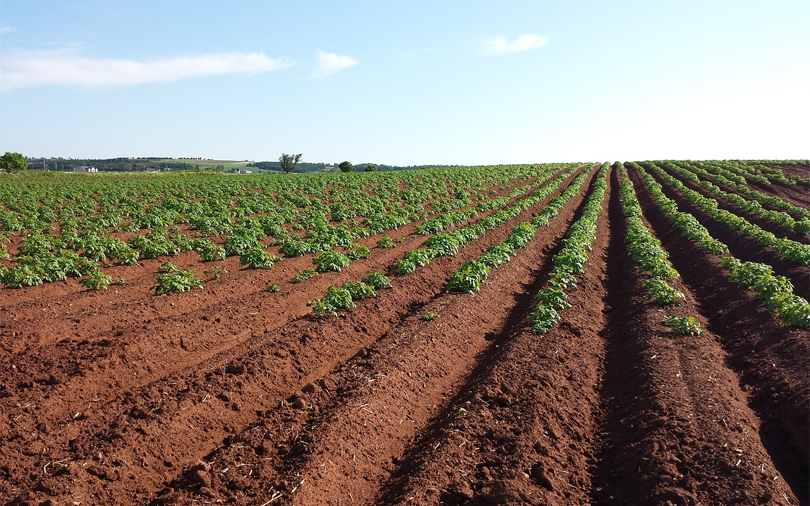 Exclusive: B2B agri-marketing platform Ninjacart raises fresh funds