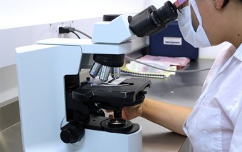 SRL Diagnostics to harness Microsoft's AI-based pathology solutions 