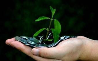 Fashion e-commerce enabler Zoomtail raises seed funding