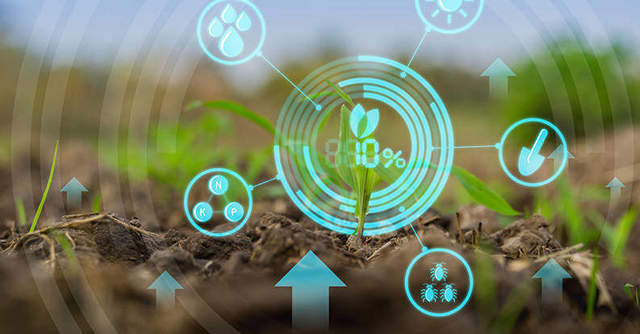 Agritech startup Clover raises $5.5 mn to bring greenhouse grown produce to consumers