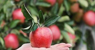 Agritech startup WayCool raises $5.5 mn in debt funding from IndusInd Bank