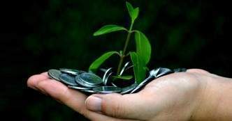 Matrix Partners India, Ankur Capital lead $2.5 mn funding round in Vegrow