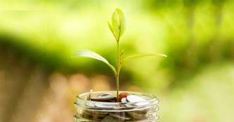 Samara Capital, Amazon infuse $37 mn in supermarket chain More