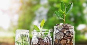 Endiya, Kalaari invest seed capital in SaaS app manager Zluri