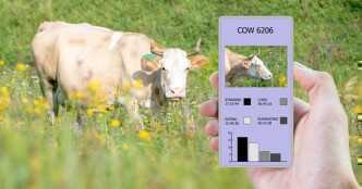 Cattle trade and livestock farming in India get a touch of AI, IoT